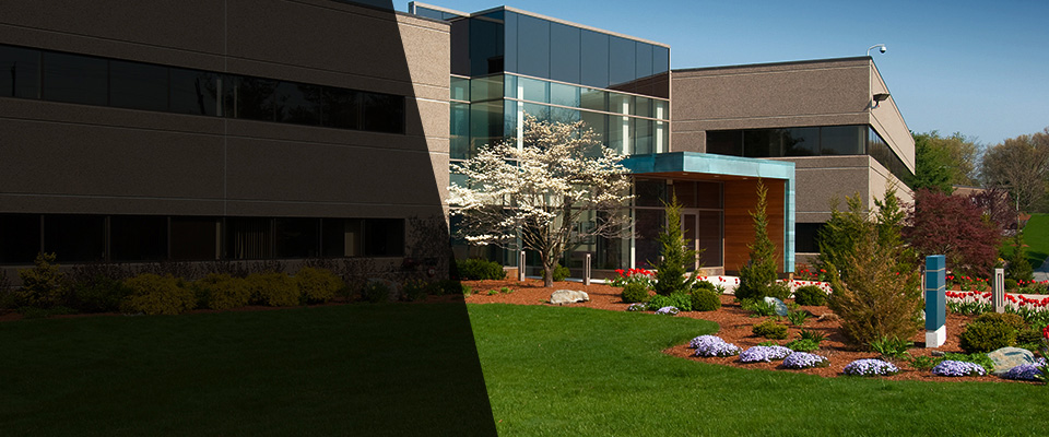 Jenkintown Landscapers