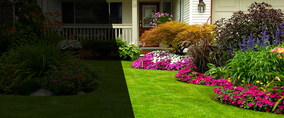 Jenkintown Landscapers
